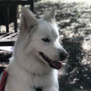 Meet your Posher, Debra